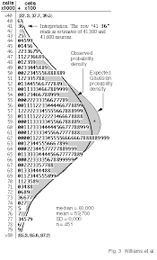 Stem And Leaf Plot Of Neurons Neurons Probability Stem
