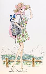 cards おしゃれまとめの人気アイデア pinterest hana ペローナ かわいい onepiece イラスト