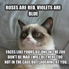 She Is Good At Rhyming Funny Grumpy Cat Memes Grumpy Cat Quotes Grumpy Cat Humor