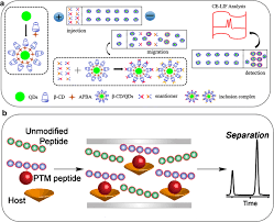 H t s lif detector is used for tobramycin analysis in human urine. Recent 2018 2020 Development In Capillary Electrophoresis Springerlink