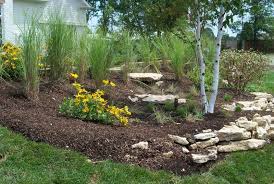 Pesquisa Google Rain Garden Design Rain Garden Beautiful Gardens