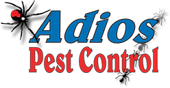 Chula vista pest terminator provides pest extermination for the chula vista, ca and nearby region. Best Exterminator Pest Control In San Diego Adios Pest Control