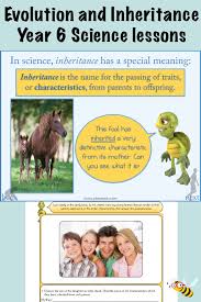 Evolution And Inheritance Science Lessons Evolution Inheritance