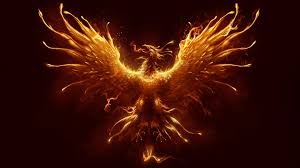 Image result for Phoenix