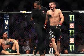 Хабиб нурмагомедов против конор макгрегор. Ufc 229 Nurmagomedov Defeats Mcgregor Ringside Brawl Hypebeast