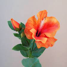 Most of these do not make good houseplants. Artificial Hibiscus Flower And Bud Orange Artificial Flowers