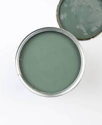 Sage Green Paint Sage Advice Calm Yet Strong Muted Green Sage Green Paint Green Interior Paint Green Paint