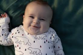 2025 Christmas Tree Farm MINIS Photo Shoot Booking at Powell Tree Farm in  Sneads, Florida