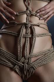 Close up nude rope harness - Fine Art of Bondage Photograph by Rod Meier -  Fine Art America