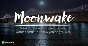 8 Words For Nature Lovers Unusual Words Weird Words Rare Words