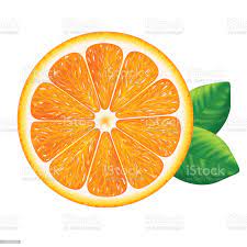 Orange Slice With Leaves Isolated On White Background White Background Free Vector Art Stock Illustration