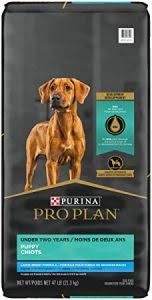 If you love to have small dogs as pet, it is common for you to even have a yorkshire terrier or yorkie. Best Dog Food For Yorkie Puppies Top 5 Picks 2021 We Love Doodles