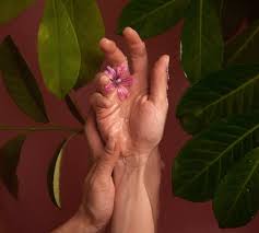 Free shipping on orders over $25 shipped by amazon. Flower Images 50 000 Free Photos Pexels