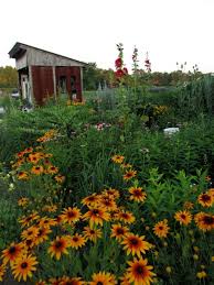 This 3 Acre U Pick Flower Farm In Maine Is A Great Way To Spend An Afternoon Flower Farm Maine Flowers Maine