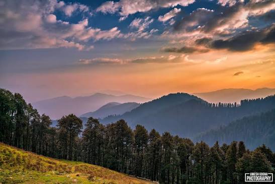 Beyond the Pines: The Ultimate Jibhi & Jalori Pass Travel Itinerary (2026 Edition)