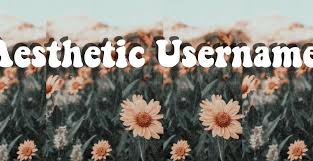 Aesthetic Usernames Username Ideas Tiktok Instagram Roblox Youtube In 2020 Aesthetic Usernames Beautiful Aesthetic