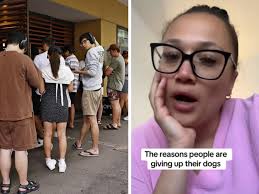 Murder accused doctor granted bail