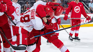 Сёдерблом эльмер (soderblom elmer) хоккей нападающий швеция 05.07.2001. By The Numbers Prospects Albin Grewe And Elmer Soderblom