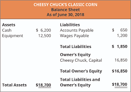 Prepare An Income Statement Statement Of Owner S Equity And Balance Sheet Principles Of Accounting Volume 1 Financial Accounting