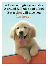 50 Funny Memes Quotes Everyone Who Loves Their Pet Can Relate To In 2020 Dog Lover Quotes Love Your Pet Day Dog Quotes