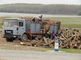 Lemne foc de la producatori, prestatori servicii, distribuitori directi prezenti pe bizoo.ro. Lemne De Foc La Pret Dublu Fata De Directia Silvica