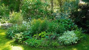 Viele nadelgehölze haben von natur aus eine markante, kompakte wuchsform. So Wird Der Kleine Garten Zur Wohlfuhloase