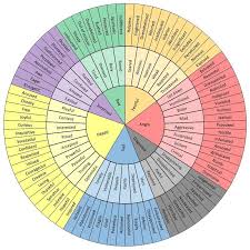 image result for primary and secondary emotions feelings