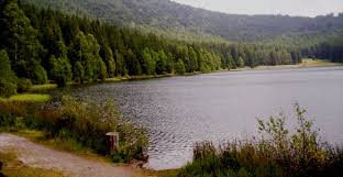Harta turistica a vienei harta turistica maramures bucovina harta turistica a romaniei transalpina harti meteo romania meteoblue harta unde ma aflu harti din satelit live harta turistica judet sibiu harta vaslui google maps. Harta Lacul Sfanta Ana Harta Rutiera