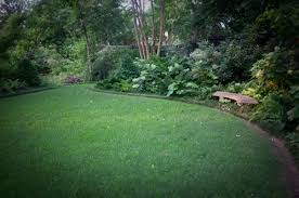 Hire the best lawn maintenance and mowing services in dacula, ga on homeadvisor. Lawn Care Services Best Lawn Care Services Plan Trugreen