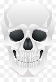 Check spelling or type a new query. Skull Art Png And Skull Art Transparent Clipart Free Download Cleanpng Kisspng