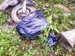 Borderland Beat El Tigre And Premier Viagras Leader Arrested Suspects In The Harry Devert Murder