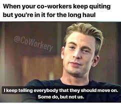 Pin By Tiffany Desotel On The Funnies Funny Memes About Work Really Funny Memes Funny Meme Pictures