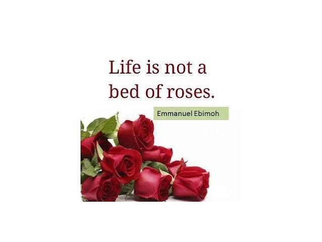 LIFE IS NOT A BED OF ROSES