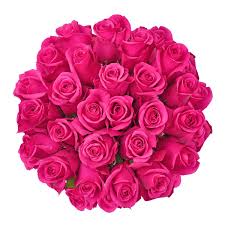 Walmart's seo guidelines, tips to win the buy box, and walmart product ads have already been explained here. Hot Pink Roses 50 Cm Fresh Cut 50 Stems Walmart Com Walmart Com