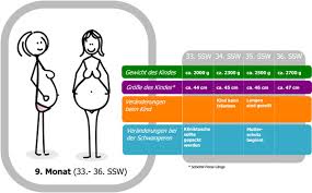 Mit dem kopf nach unten. 33 Ssw Schwangerschaftswoche Schwangerschaft Fotus Werdende Mutter Beschwerden Untersuchungen Hinweise