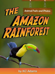 Animals in tropical rainforests can on the forest floor, the lack of light means that it is difficult for many species of plants to survive. Best Rainforest Books For Kids As Chosen By Educators
