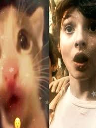 ₊· ͟͟͞͞➳❥𝓜imi ♡ 𝓕inn⋆·˚ ༘ * (@mimiyfinn_)