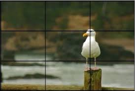 It's a universally accessible way to frame an to employ the rule of thirds, imagine a 3×3 grid on top of any image. Photography Tips Rule Of Thirds Rule Of Thirds Photography Rules Rule Of Thirds Photography