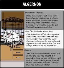 This procedure had already been performed on a laboratory mouse, algernon, with remarkable results. Flowers For Algernon Character Map As Students Read A Storyboard Can Serve As A Helpful Character Re Flowers For Algernon Teacher Guides School Inspiration