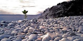 Batu kerikil yang menempel akan terus tertekan ke dalam tapak ban dan menekan permukaan secara terus menerus saat roda berputar, ini akan mermutuskan serat ban. Mengintip Keunikan Pantai Berpasir Kerikil Di Mabua Filipina Merdeka Com