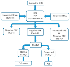 Cancers Free Full Text Innovative Diagnostic Methods For