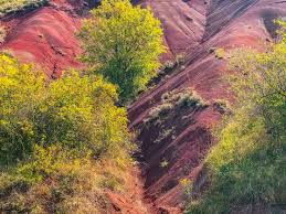 Couleurs D Automne Rougier Du Vallon De Marcillac Tourisme Vallon Les Causses