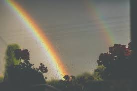 Image result for images rainbows in the bible