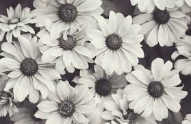Fondos De Pantalla Hipster Buscar Con Google Black And White Flowers Facebook Cover Photos Vintage White Flower Crown