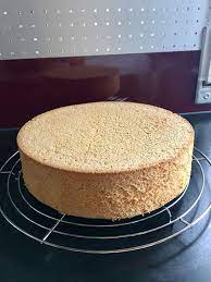 biskuitboden fur torten und kuchen kuchenideen biskuitboden fur torten und kuchen ein sehr schones rezept aus der katego torte dolci e dolcetti ricette dolci