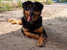 Eine arme seele ist aber meist so definiert: 6y6cwi4gnfdqpm