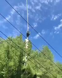 That S Gotta Be The Best Pirate I Ve Ever Seen Meme Helicopter Pin Em Engracado