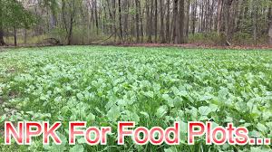 Fertilizer can make or break a food plot. Liquid Fertilizer For Food Plots Farmers Touch Npk Youtube