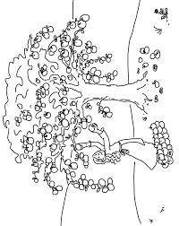 Jetzt goldmarie kaufen im onlineshop von dehner beliebter sommerblüher im leuchtendem gelb besonders ausmalbilder und malvorlagen ausmalbilder.info letztes update : Https Www Aol Verlag De Media Ntx Aol Sample 10539da4 Musterseite Pdf