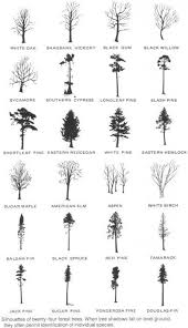 General Silhouettes Of Trees Canada Canada General Canada General Silhouettes Trees In 2020 Tree Tattoo Small Tree Tattoo Designs Aspen Trees Tattoo